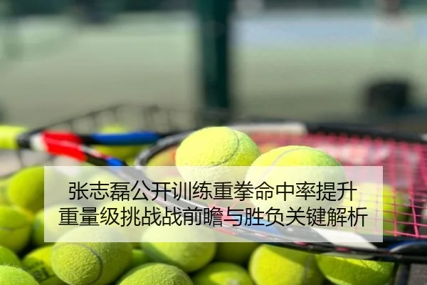 张志磊公开训练重拳命中率提升 重量级挑战战前瞻与胜负关键解析